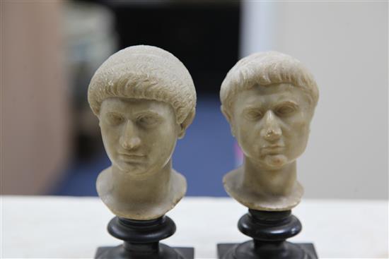 A set of four early 19th century Grand Tour alabaster Heads of Caesar 7in.